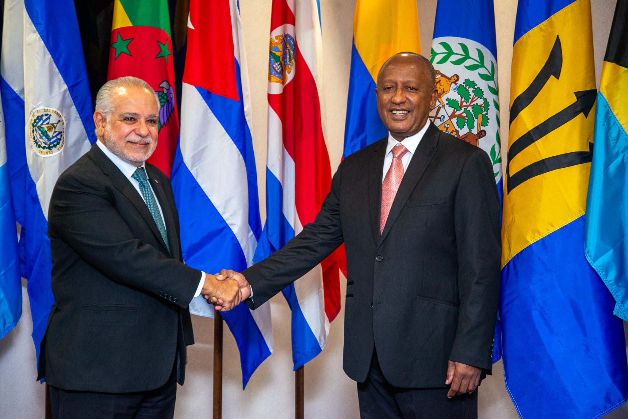 Ambassador of Cuba presents Credentials to the ACS
