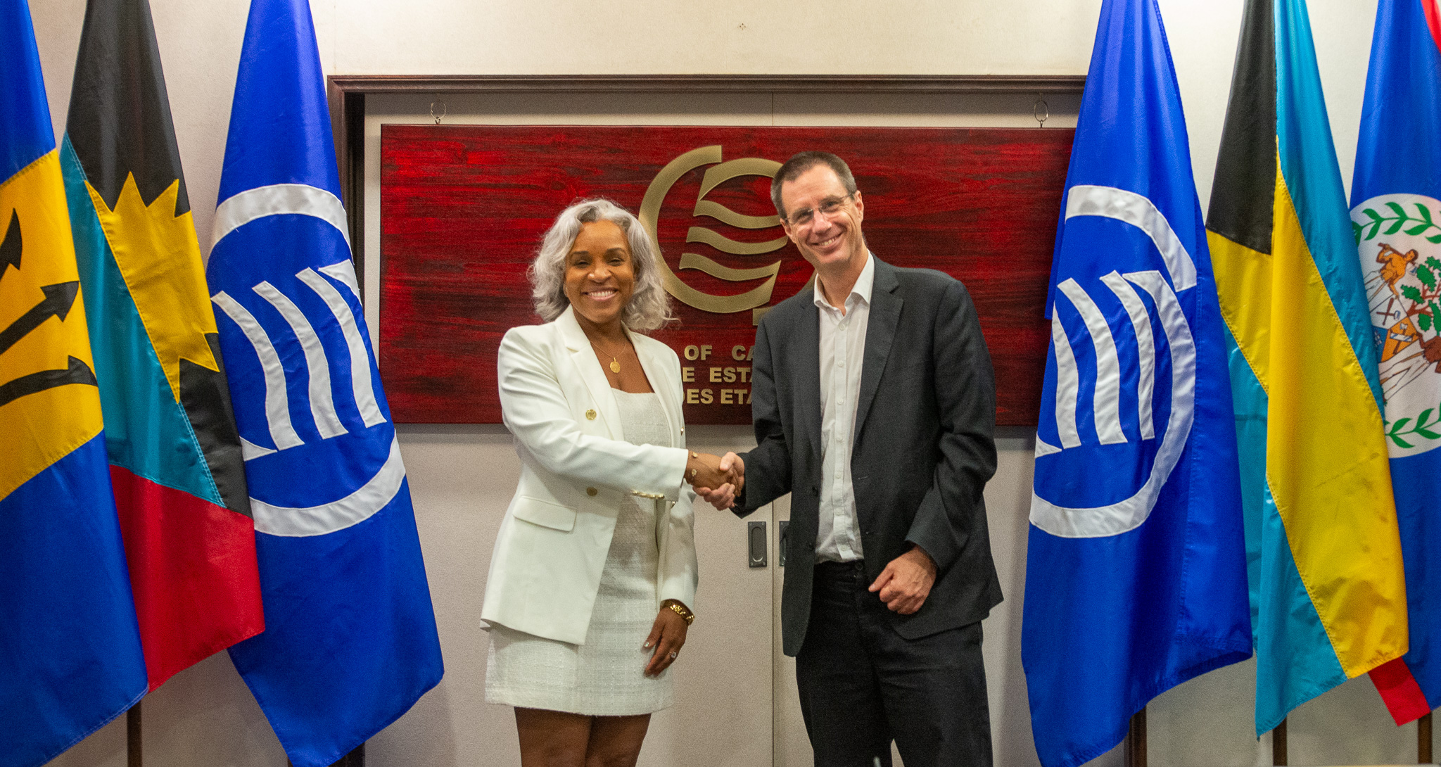 ACS and Austria Discuss Climate Action