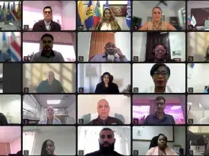 Webinar
